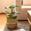 Seagrass Belly Basket Storage Plant Pot Foldable Nursery Laundry Bag 3c BX