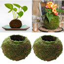 2Pcs Green Moss Ball Decorative for Home Decor, Flowers Planters, Trays,
