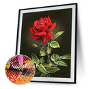 5D DIY Diamond Painting Flower Rose Embroidery Cross Stitch Mosaic Picture A