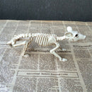 Skeleton Rat Plastic Animal Skeleton Bones for Horror Halloween Decor ME