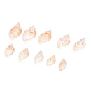 20Pcs Aquarium Mixed Bulk Sea Shells Beach Beautiful Decoration B ivTECA