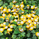 100Pce Tiny Wooden Bee Flatback Embellishment for Craft Scrapbooking DIY De