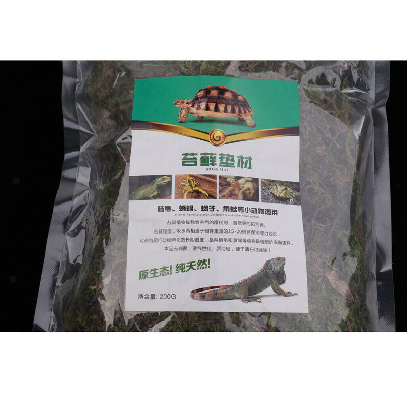 Natural Green Moss Terrarium Plant Moss Fern Pet Reptile Habitat Decoration