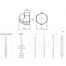 10Pieces Stainless Steel Dome Nuts Hex Cap Nuts for Threads Bolt Screws  M10