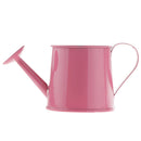 Pastoral Style Colorful Metal Tin Flower Pot Mini Bonsai Watering Can Pink