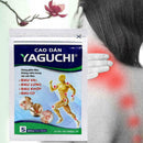 5 stickers / bag Vietnam gypsum paste Go through the paste gypsum active F6 L4X6