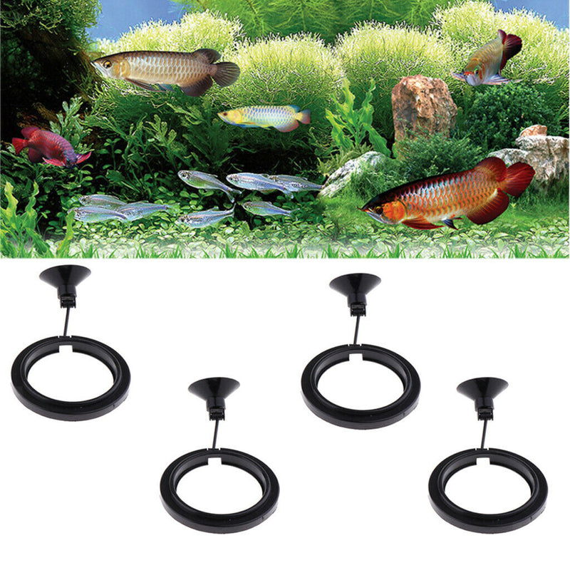 4 x Duable & Environmentally-Friendly Fish Feeding Square - Plastic Aquarium