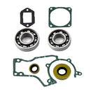 Gasket & Oil Seal Kit Fits for STIHL 038 MS380 MS381 Lawnmower Chainsaw