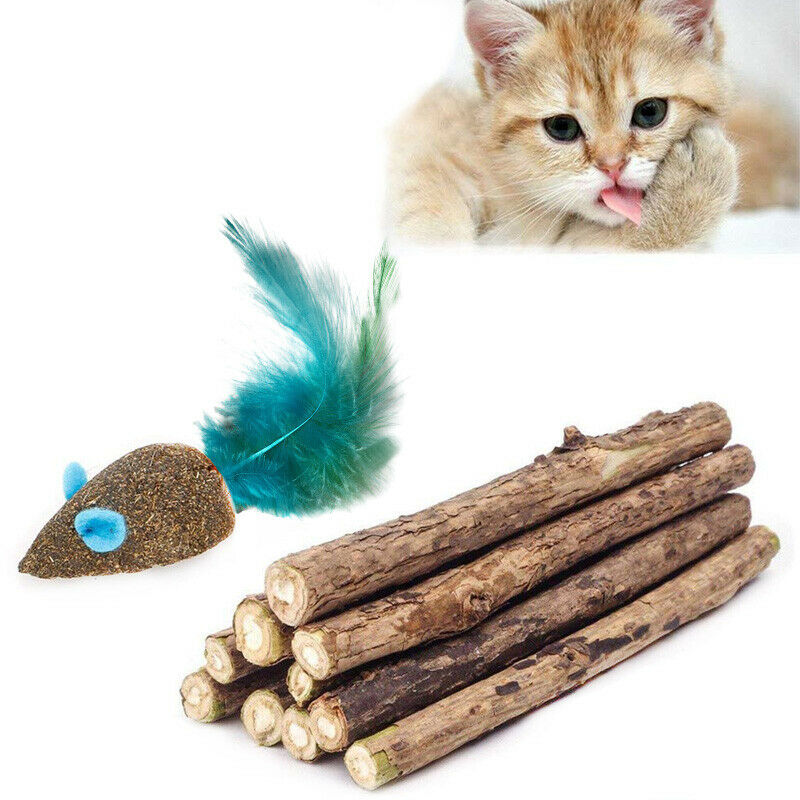 Cat Catnip Sticks Natural Matatabi Silvervine Sticks - Cleaning Teeth Molar S8Q6