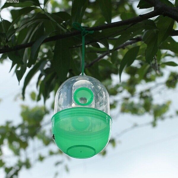 Harmless Fly Trap Wasp Catcher