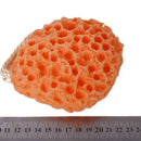Bath Shower Exfoliator Body/Face Washing Cleansing Pad Sponge Cosmetic Wash