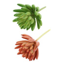 2pcs Artificial Succulents Plants Fingered Echeveria Desk Decor Photo Props