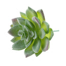 Artificial Plastic Succulent Flocking Plants Home Cafe Floral Decor Crafts