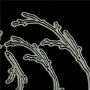 Tree Pole Design Metal Cutting Dies For DIY Scrapbooking Album â„–[