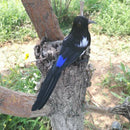 Artificial Decorative Bird Realistic Magpie for Home Garden Yard Decoration