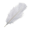 10 Pieces White Natural Ostrich Feather 20-25cm Wedding DIY A3Z6