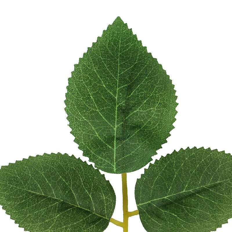 Aquarium Betta Leaf Artificial Plant Fish Oviposition Rest Bed Fish Tank DecFT