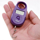 1X(WeiHeng Lcd Display 25Kg/5G Hook Hanging Luggage Fishing Pocket Scale Po