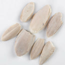 7Pcs Birds Cuttlefish Cuttle Fish Bone Parrotts Reptiles Rabbits Tortoise Foods
