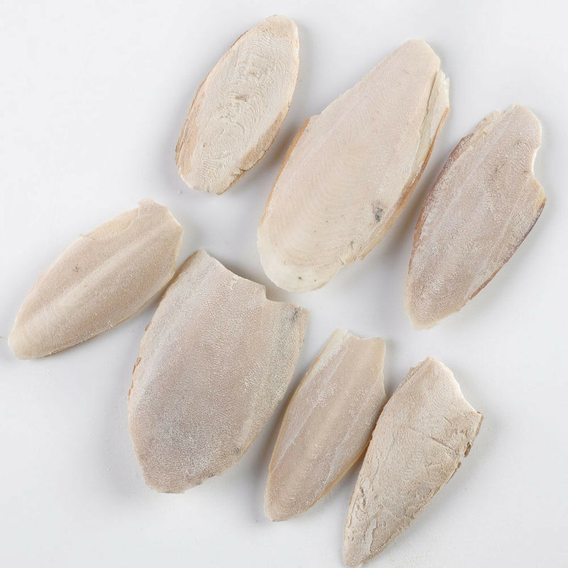 7Pcs Birds Cuttlefish Cuttle Fish Bone Parrotts Reptiles Rabbits Tortoise Foods