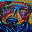 5D DIY Full Drill Special Shaped Diamond Painting Color Dog Cross Stitch