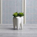 Tooth Shape White Ceramic Flower Pot Modern Design Teeth Desktop Plan Decor A5M6