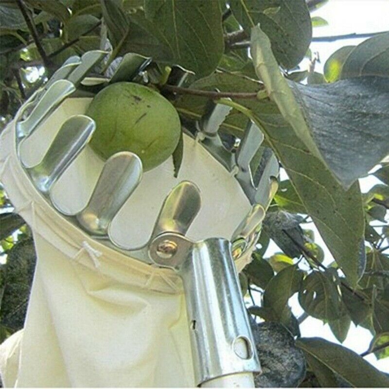 1X(Fruit Picker Head Basket Or Fruit Picking Tools, Fruits Catcher For Harv