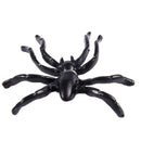 1 Pair Fashion Punk, Black Spider Unisex Funny Ear studs D8A6
