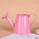 Pastoral Style Colorful Metal Tin Flower Pot Mini Bonsai Watering Can Pink