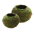 2-Pcs Creative Moss Ball Flower Pot Planter for Home Garden Decor, 9cm & 18cm