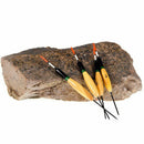 Leo 10Pcs/Lot Bobber Cork Fir Float Vertical Pesca For Carp Fishing Float F