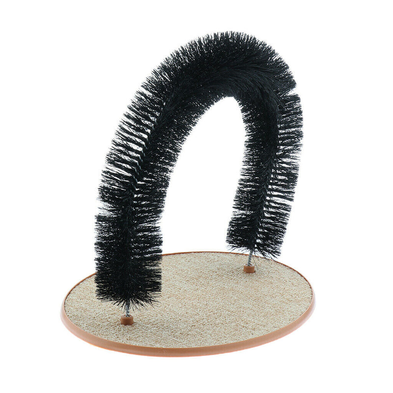 Gentle Fur Brushing for Cat Kitten Playing And Scratching