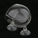 2Pcs Aquarium   Tank Glass Live Plant Cup Pot Crystal Red Shrimp Holder