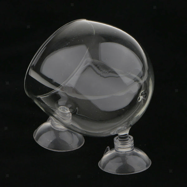 2Pcs Aquarium   Tank Glass Live Plant Cup Pot Crystal Red Shrimp Holder