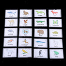80PCS KIDS LANGUAGE EARLY EDUCATIONAL SIGHT WORDS FLASH CARDS COGNITION CARDS