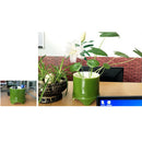 Plastic Pet Feeding Plate Reptile Feeding Bowl Food Water Dish Yellow