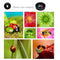 Clip 3-in-1 180 Fish-Eye Lens+Wide Angle Lens+Macro Lens Black