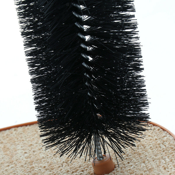 Gentle Fur Brushing for Cat Kitten Playing And Scratching