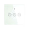 Electric Motorized Curtain Blind Roller Shutter WiFi Smart Curtain Switch