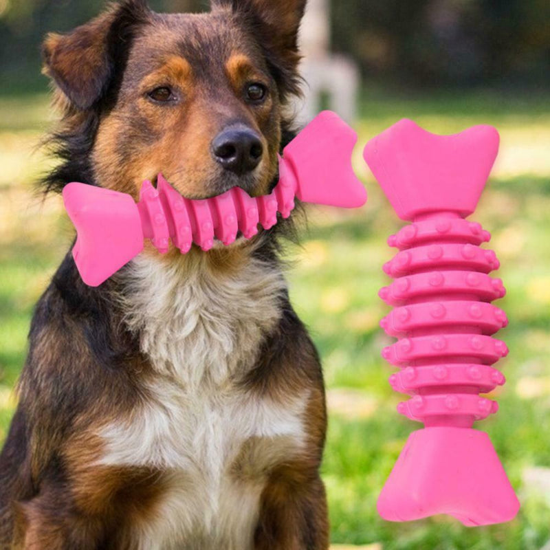 Pet Dog Chicken Molar Toys Rubber Interactive Clean Teeth Chew Dog Supplies
