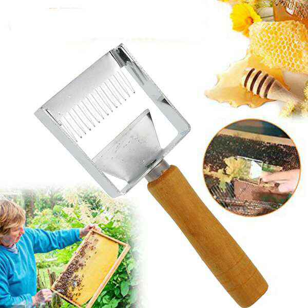 Stainless Steel Tines Uncapping Fork and Scraper Wooden Handle- Beekeeping