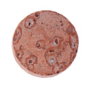 80pcs Aquarium Fish Tank Plant Grass Fertilizer Root Tab Live Water Nutrition 3C