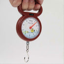 Portable 10kg Weighing Numeral Pointer Spring Balance Hanging Scale Measuring
