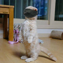 Cat Grooming Muzzle Adjustable Snout Anti Bite Cat Muzzle Cat Travel Tool JR