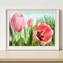 Flower 5D DIY Full Round Drill Diamond Painting Mosaic Canvas Beadwork Kits