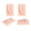 4 Pieces Silicone 1:1 Lifesize Ear Acupuncture Statue School Study Set