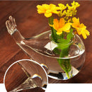 Glass Hydroponic Flower Plant Vase Landscape Terrarium Container Whale Decor