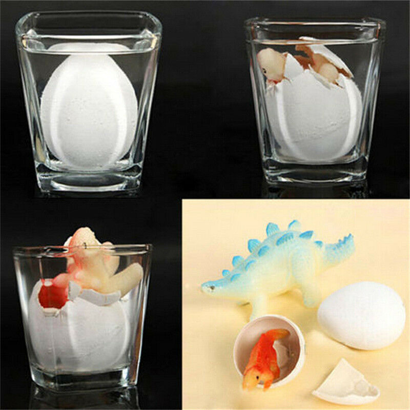 Magic Hatching Dinosaur Add Water Growing Dino Eggs Inflatable Child Kid ToyG3cL