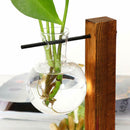 5X(Creative vase plant glass hydroponic container farm decorative flowerpo Q1T7)
