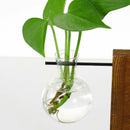 5X(Creative vase plant glass hydroponic container farm decorative flowerpo Q1T7)